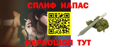 spice Гусев
