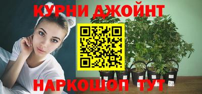 spice Гусев