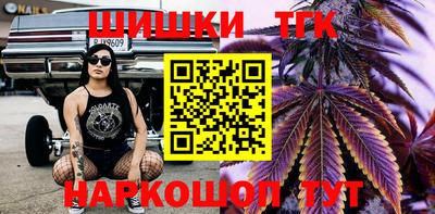 ECSTASY Гусь-Хрустальный