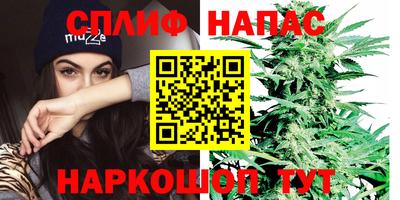 spice Гусев