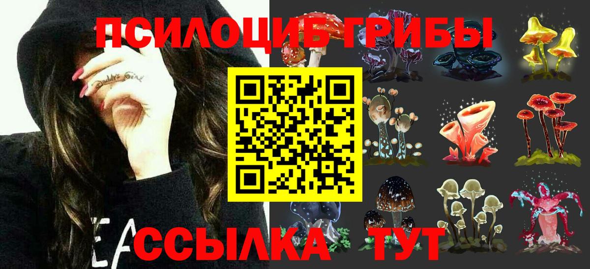 Псилоцибиновые грибы мухоморы  купить наркоту  Набережные Челны  Вход с VPN 